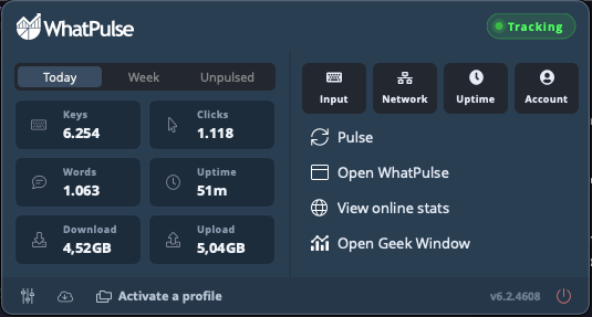 Screenshot: The tray popup, showing the stats grid and action buttons
